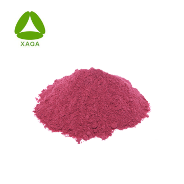 Blaubeerzug 25% Antioxidans Anthocyanine Pulver