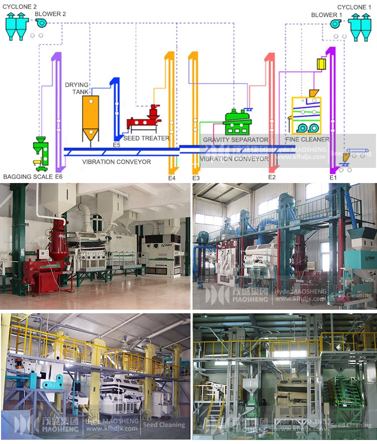 5xz-5 Kernel Soybean Gravity Table Screen Separator Machine