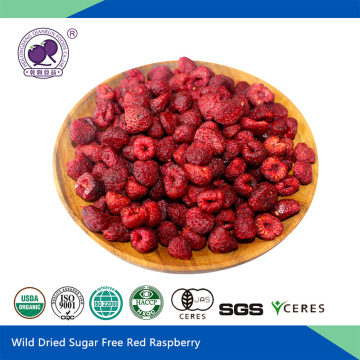 Xylitol Dried Raspberry - Sugar Free