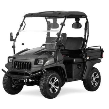 Chariot de golf électrique de style Jeep UTV avec EEC