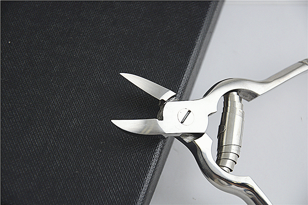Pinzas de cutícula mejor calificadas Top Rated Cuticle Nippers