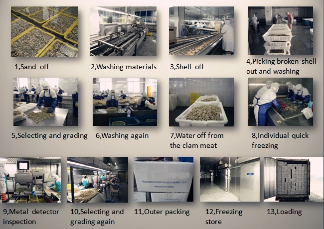 Mięso małży w skorupiakach