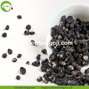 Pabrik Bulk Natural Nutrition Black Wolfberry