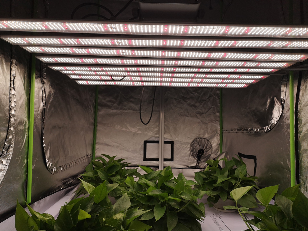 Full Spectrum 640W 650w led plant grow light for greenhouse indoor plants