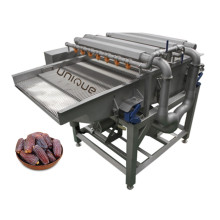 Palm Dates Cleaning Vibrator Machine