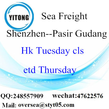 Shenzhen Port LCL Consolidation To Pasir Gudang