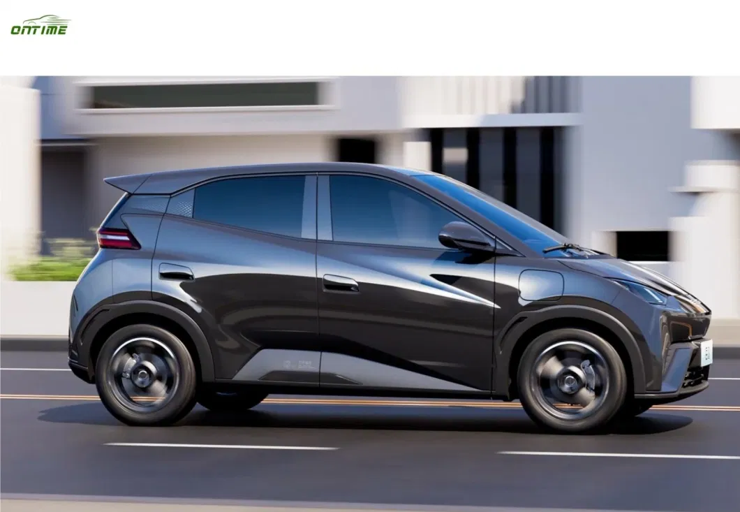 China Ontimeseagull New Energy Electric Vehicle Small Household Vehicle