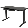 Custom Home Office Uplift Sit Stand Electric Desk