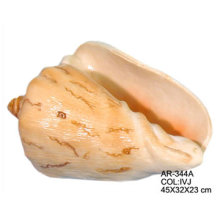 23cm Lg. Shell Planter