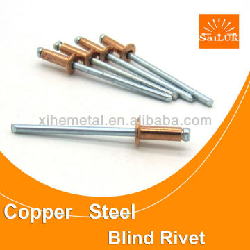 Copper dome head rivet/foshan manufacturer