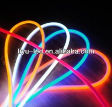 Outdoor Holiday Light