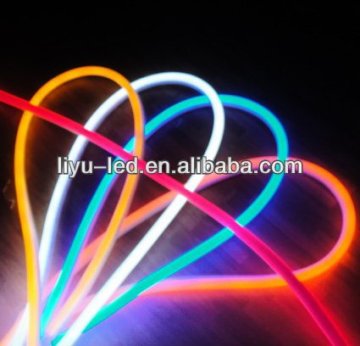 Outdoor Holiday Light