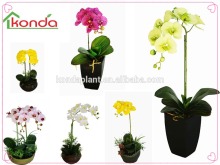 High Quality Artificial Flower Butterfly Orchid bonsai wholesale