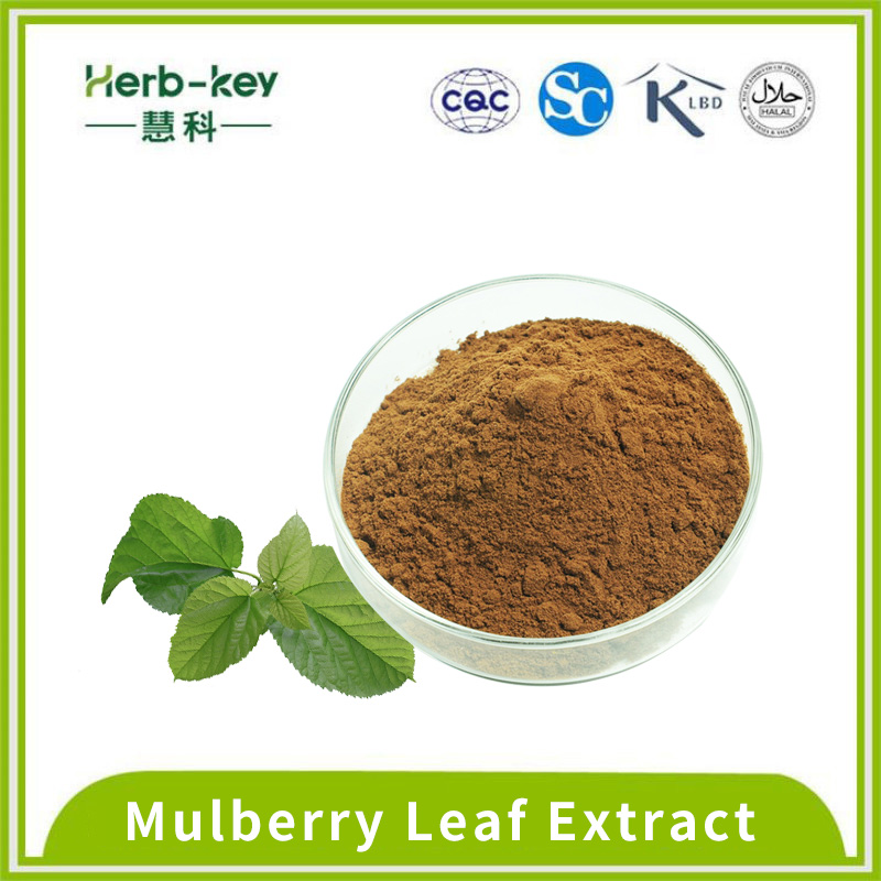 Powdered Mulberry Leaf Extract 2% Deoxynojirimycin