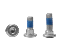 Professional Grade Disc Brake Rotor Bolt