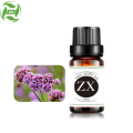 Aromatherapy Benefits Verbena oil