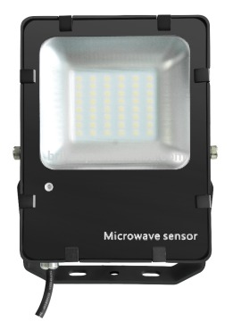 Motion Sensor Floodlight