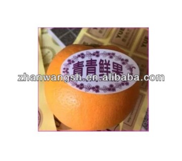 adhesive food labels,printing packaging label,food stickers labels