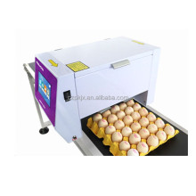 Continuous Automatic Egg Inkjet Printer with Quality Logo and Barcode Expiry Date for Small Eggs