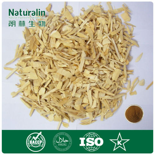 100% pure natural herbal extract High quality Tongkat ali extract 200:1 Hot selling Tongkat Ali powder