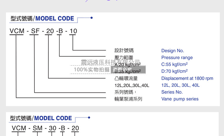 TAIWAN CML VCM-SF-20B-10 VCM-SF-20A-10 VCM-SF-20C-10 VCM-SF-2 VCM-SF-12A-4CG-20 VCM-SM-30A-21 VCM-SM-30B-21hydraulic vane pump
