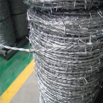 Galvanized or pvc coated barbed wire