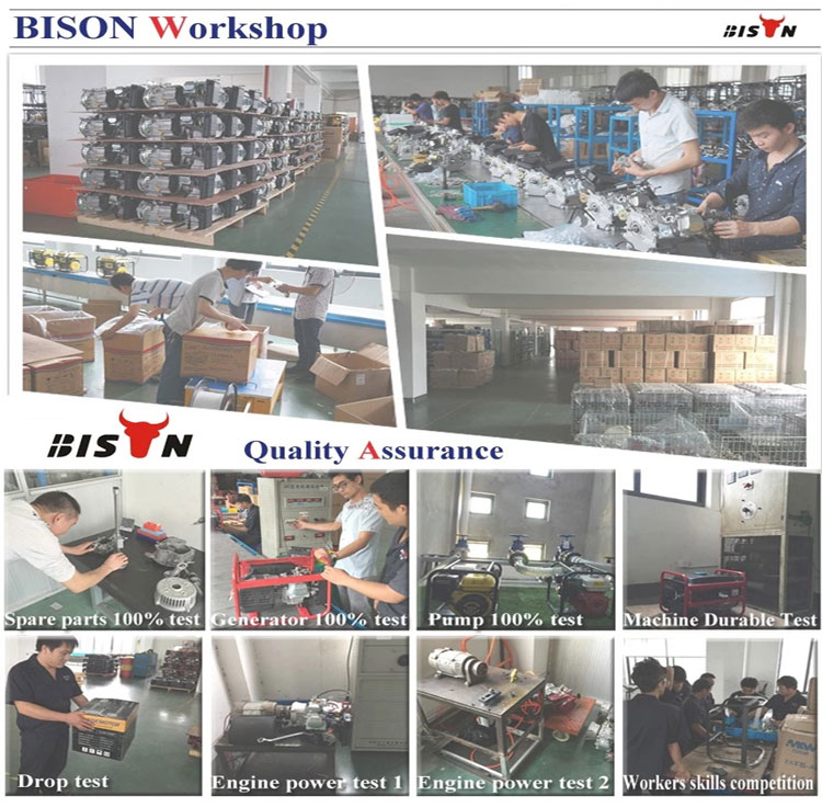 BISON BS168F-1 CHINA Gasoline Engine 6.5hp Petrol Engine For Pump