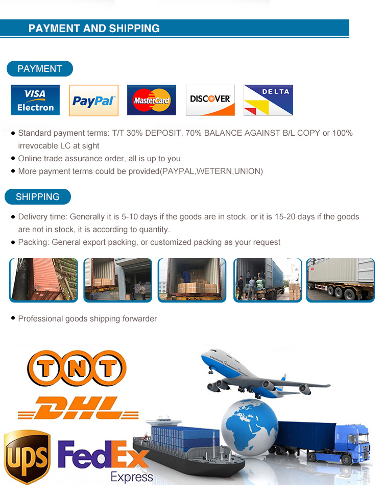 Payment and Shipping