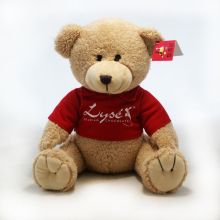soft cartoon clothing bear