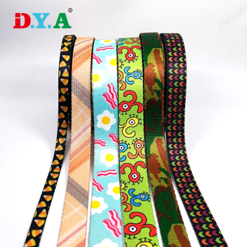 Customize Pattern Nylon/Polyester Webbing for Dog Leash