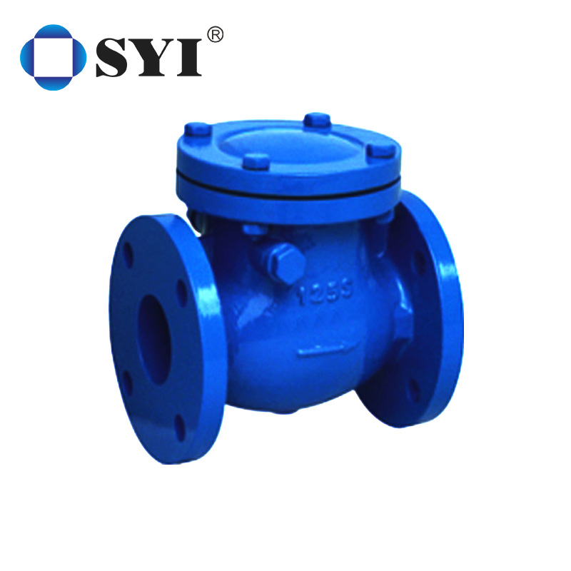 Swing check valve ductile iron anechoic check valve