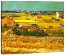 Harvest at La Crau with Mont majour Landscape