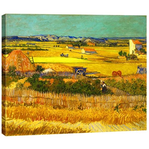 Harvest at La Crau with Mont majour Landscape