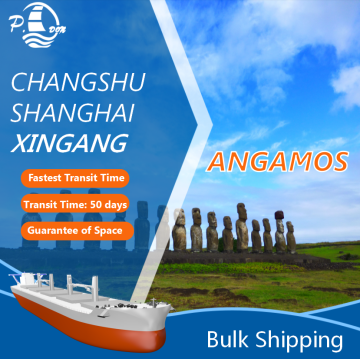 Bulk Shipping From Tianjin To Angamos