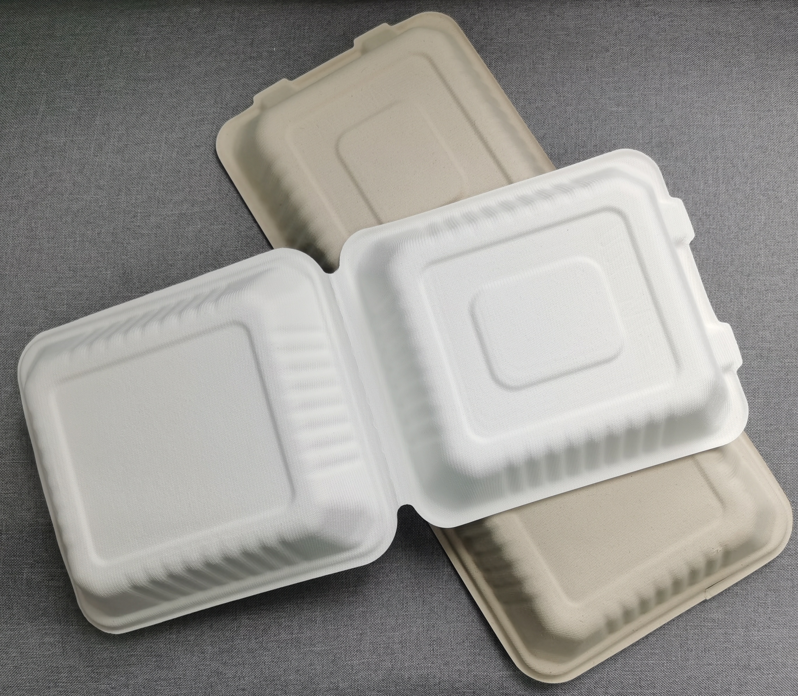 bagasse container