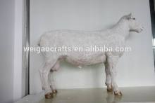 Giant life size animal fiberglass resin garden decoration sheep