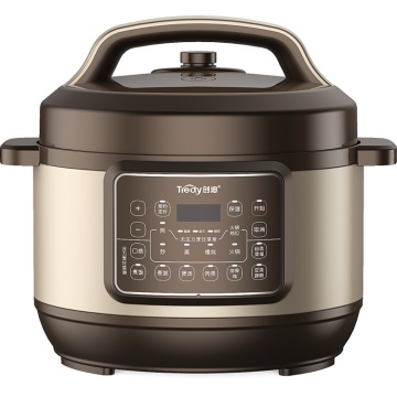 Cuisinière à double portable de 5,5 L