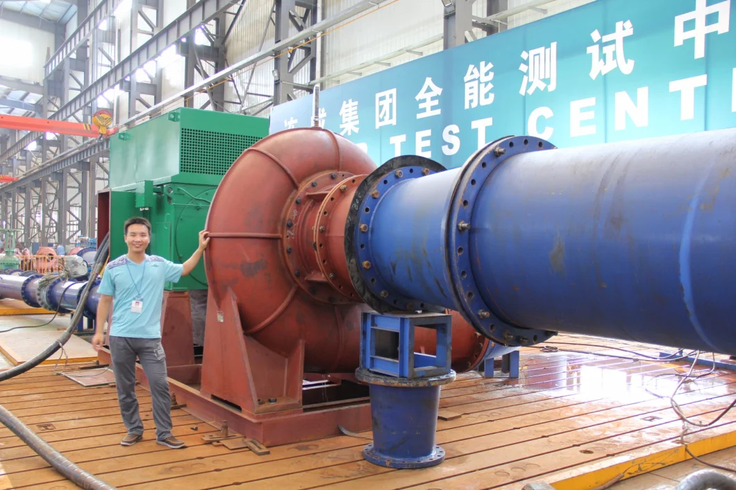 with Submersible Farm Feeding Big Capacity Horizontal Axial Flow Pump