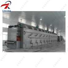 New Design Peanut Kernel Belt Type Dryer