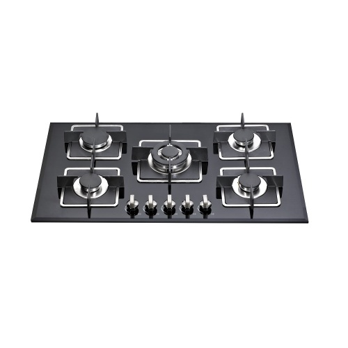 5 Burners Gas Stove Built In