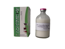 Amoxicillin Injection Suspension for Sheep
