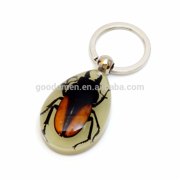 Promotional Real Insect Specimen Coated Custom Acrylic Insect Keychain