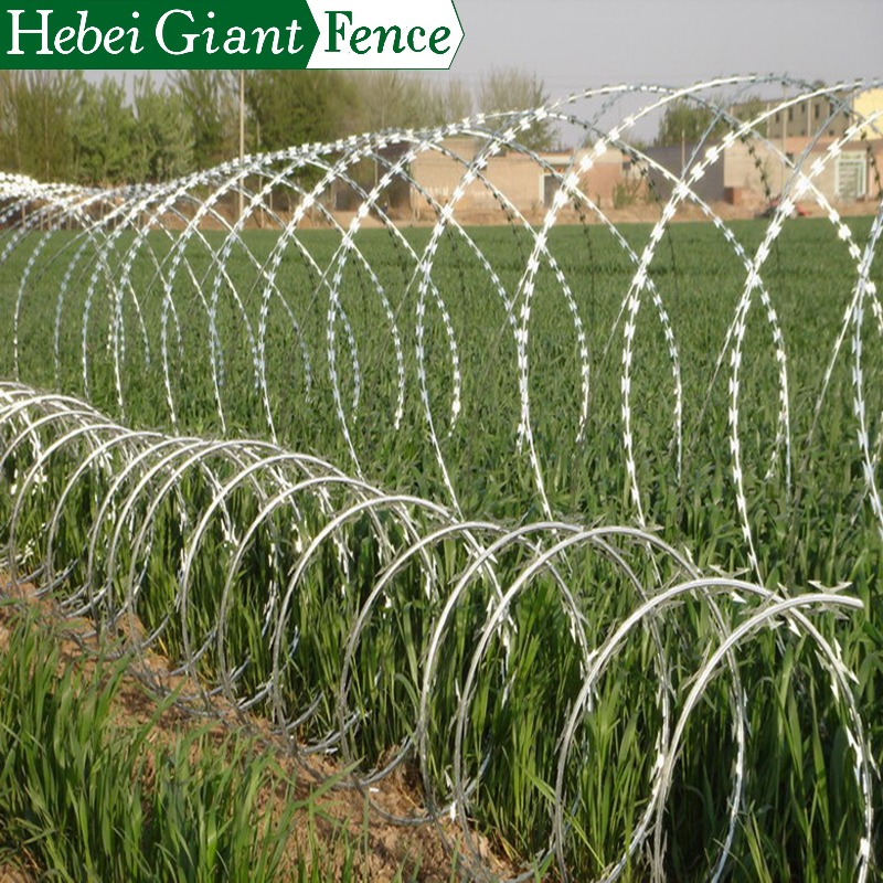 High Security BTO-22 Razor Barbed Wire on Top