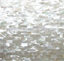 White mother of pearl seashell mosaic brick
