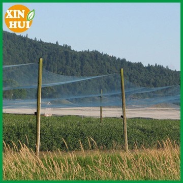 pe vineyard bird catch net