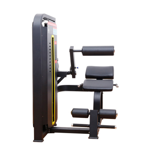 Kommersiellt gym Sittande Buken Crunch/Back Extension