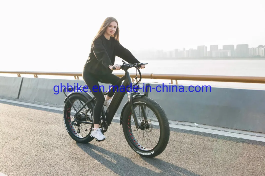 Bafang 1000W 21A MID Drive Motor Mountain Mens Fat Tire Ebike Electric Bike