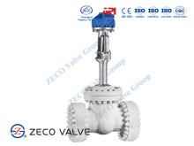 Cryogenic Gate Valve1