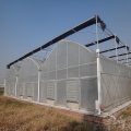 Serra commerciale agricola multi -span PE