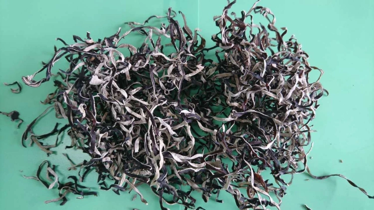 Dried Mushroom White Back Black Fungus Strips China